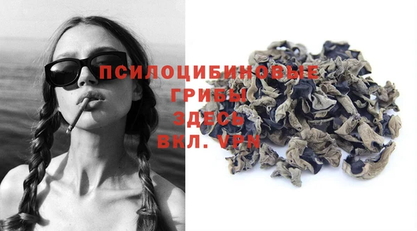 тгк Михайлов